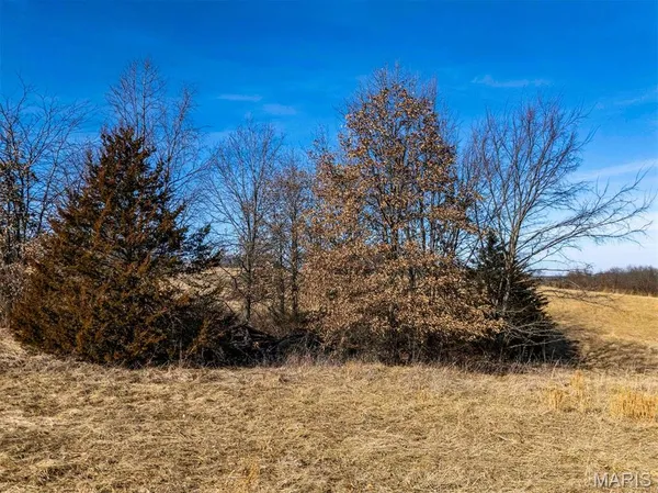 $361,335 | 0 Kuntz Road, Bowling Green, MO 63334