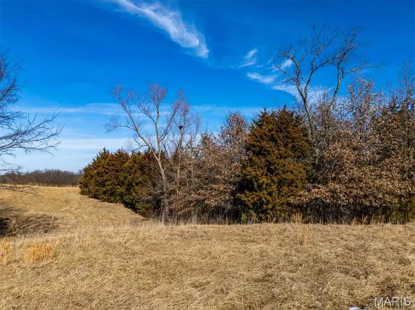 $361,335 | 0 Kuntz Road, Bowling Green, MO 63334