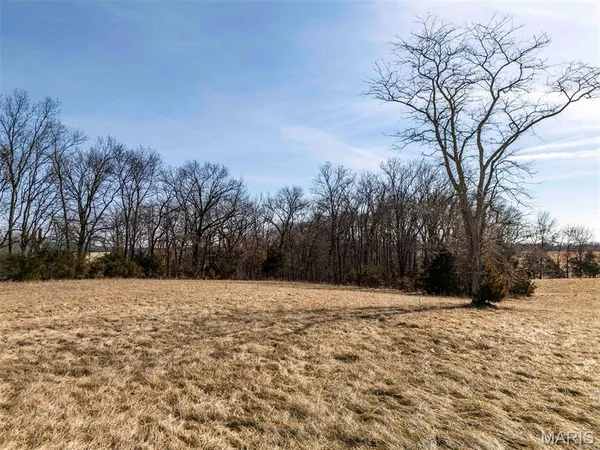 $361,335 | 0 Kuntz Road, Bowling Green, MO 63334
