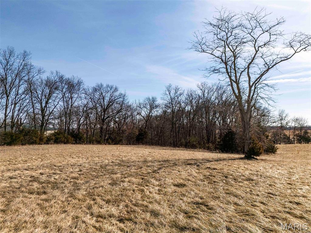 0 Kuntz Road Bowling Green, MO 63334 - Photo 19 of 49