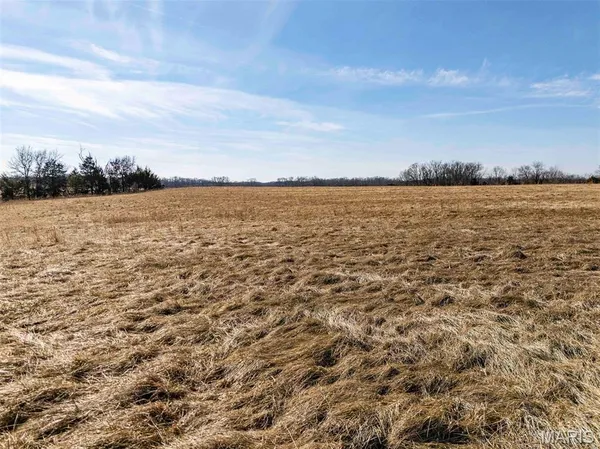 $394,485 | 0 Kuntz Road, Bowling Green, MO 63334