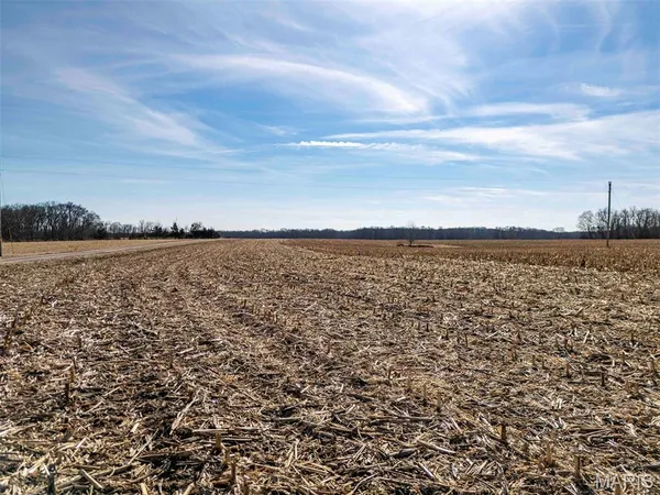 $361,335 | 0 Kuntz Road, Bowling Green, MO 63334