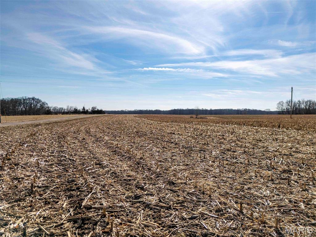 0 Kuntz Road Bowling Green, MO 63334 - Photo 33 of 49