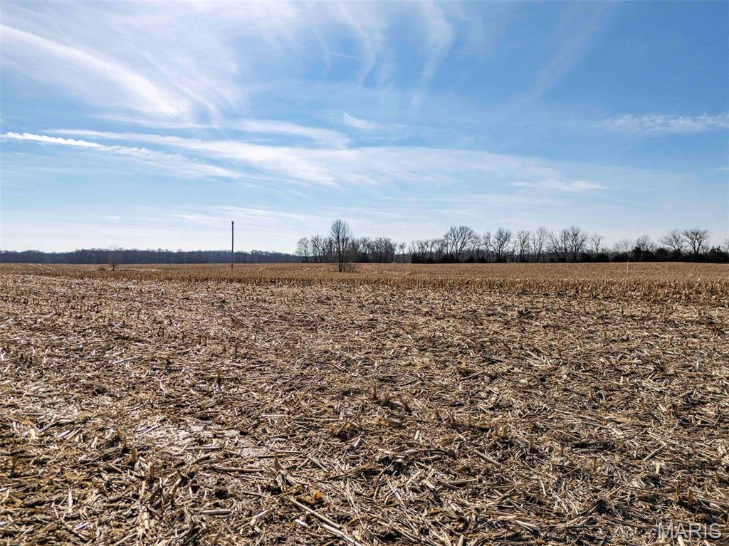 0 Kuntz Road Bowling Green, MO 63334 - Photo 38 of 49