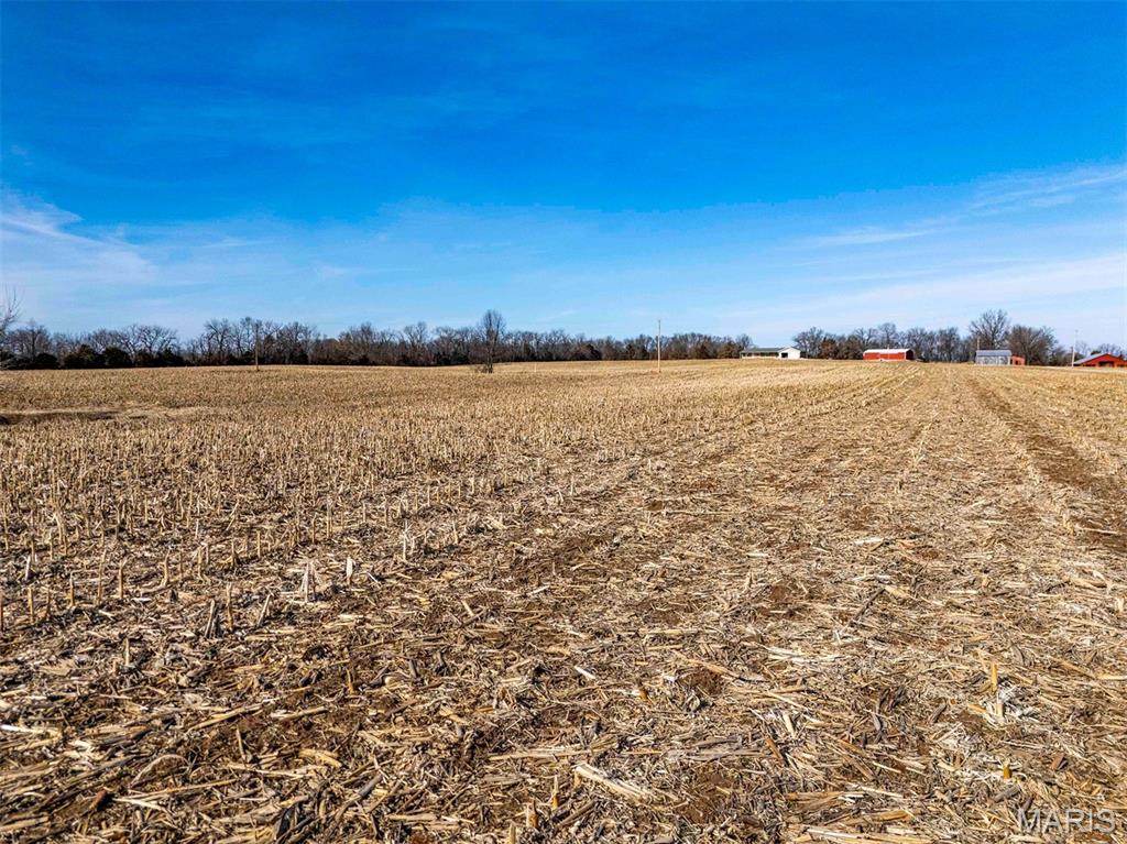 0 Kuntz Road Bowling Green, MO 63334 - Photo 41 of 49