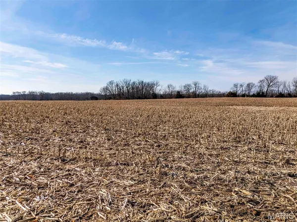 $361,335 | 0 Kuntz Road, Bowling Green, MO 63334
