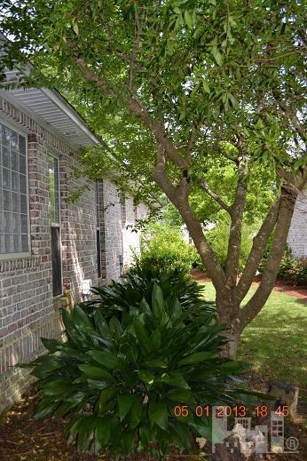 5459 Efird Road Wilmington, NC 28409 - Photo 23 of 23 Additional Photo