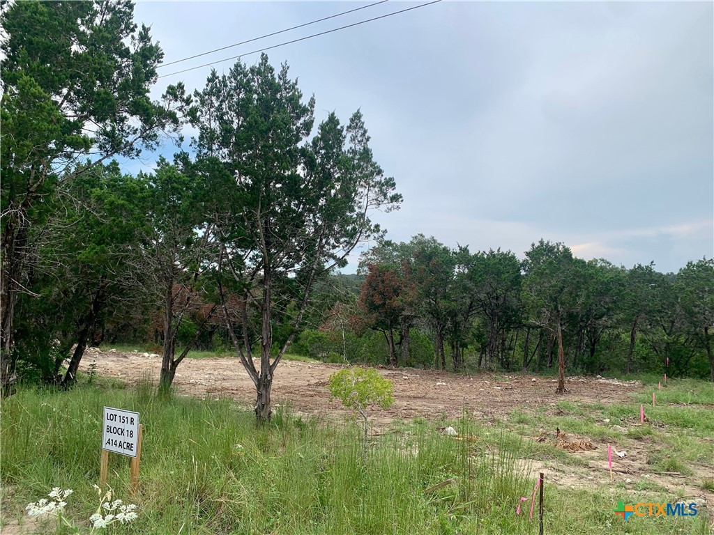 Lot 151 Stagecoach Trail Spring Branch Spring Branch, TX 78070 - Photo 2 of 15