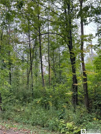 $89,900 | 0 Tastor Lane, Fredonia, NY 14063