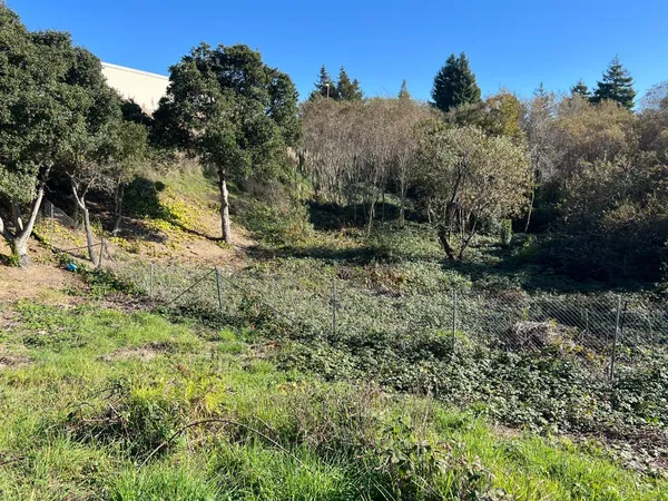 a view of a yard