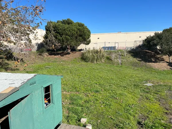 a view of a back yard