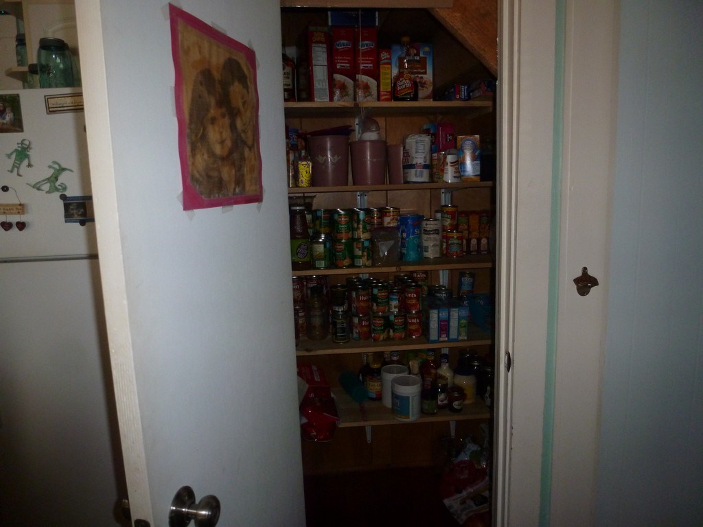 9867 Tower Road Northeast Kalkaska, MI 49646 - Photo 16 of 83 1846755-15.JPG