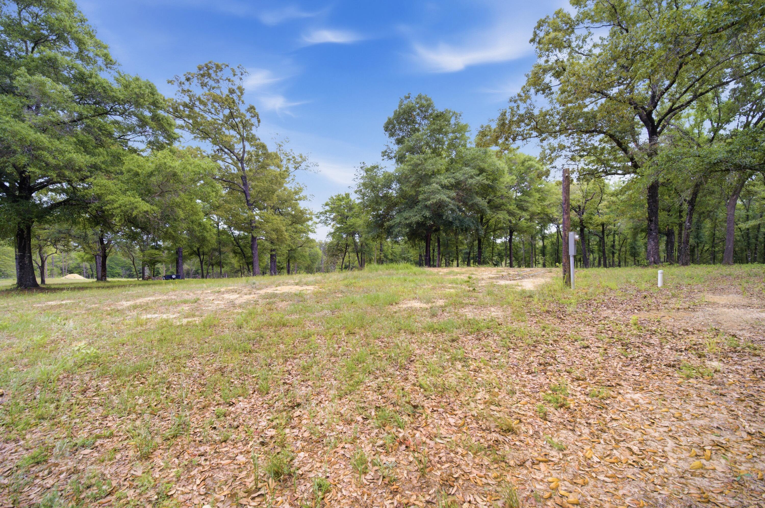 261 Wilkerson Road DeFuniak Springs, FL 32433 - Photo 33 of 76 a view of a field with trees in the background