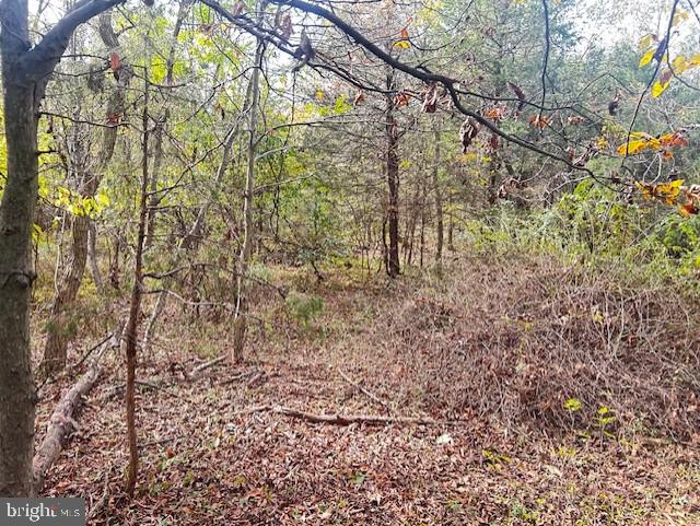 0 Motters Station Road Rocky Ridge, MD 21778 - Photo 5 of 9