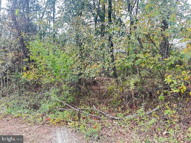 0 Motters Station Road Rocky Ridge, MD 21778 - Photo 6 of 9