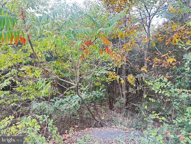 0 Motters Station Road Rocky Ridge, MD 21778 - Photo 7 of 9