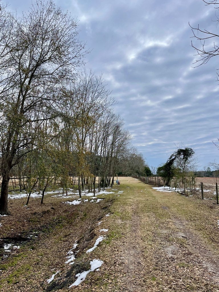 0 LUKE KING Road Enigma, GA 31749 - Photo 8 of 15 Gallery Image 8