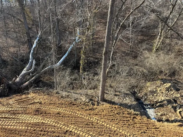 $425,000 | 7943 Walker Meadows Drive, Caseyville, IL 62232