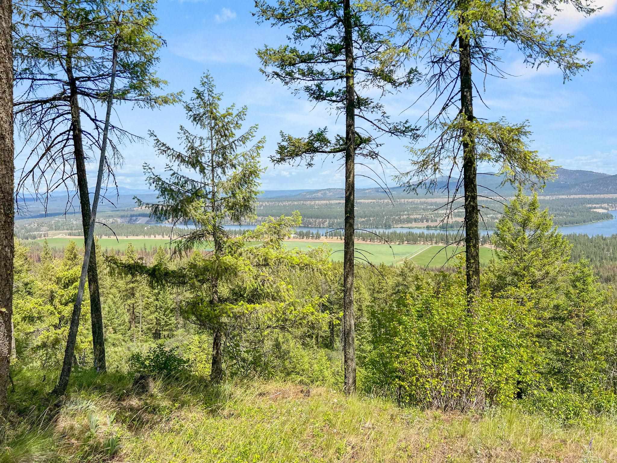 0 West Highland Road Ford, WA 99013 - Photo 20 of 41