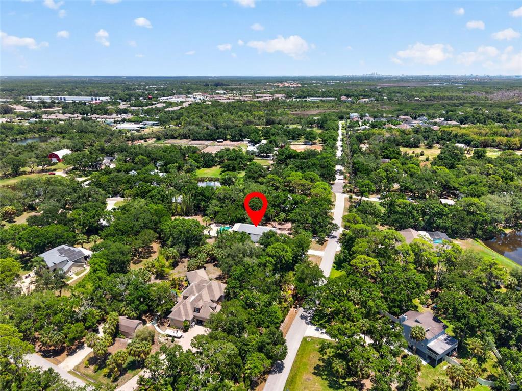 1007 State Street East Oldsmar, FL 34677 - Photo 58 of 65