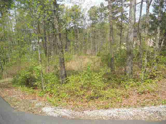11 Lead Line Way Salem, SC 29676 - Photo 3 of 12 Gallery Image 3