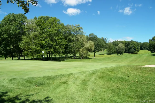 a view of grassy field with trees