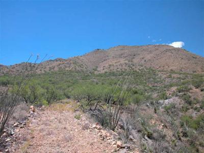 200 Canyon Pass Court Rio Rico, AZ 85648 - Photo 1 of 7