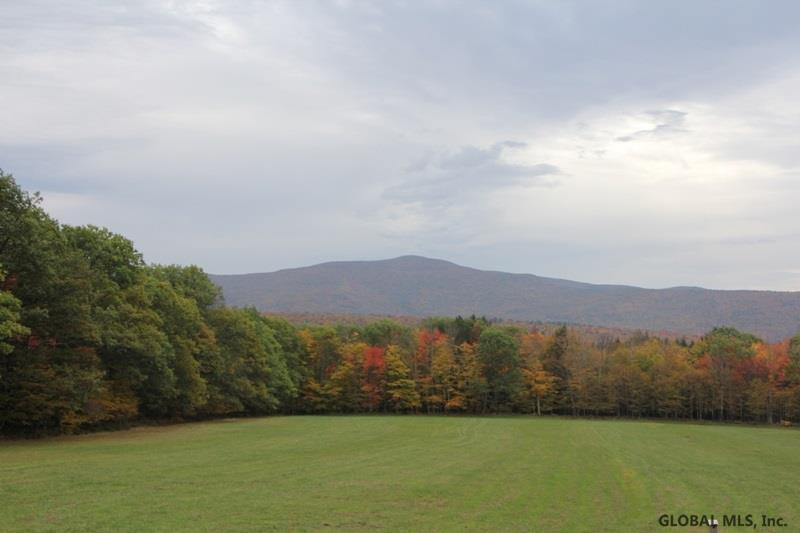 175 Buel Road Gilboa, NY 12076 - Photo 3 of 25 Photo 3
