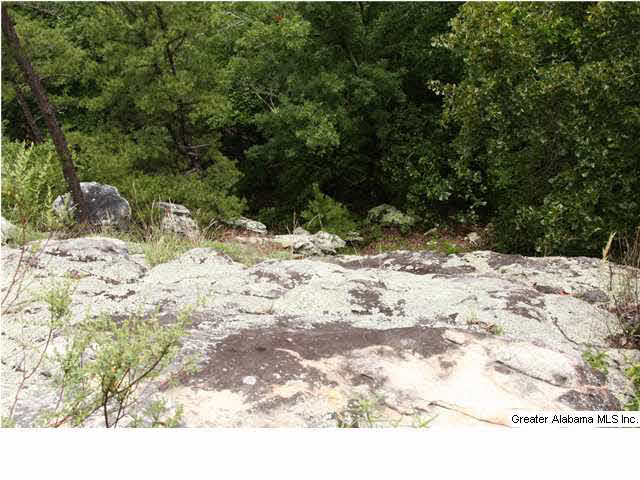Cook Springs Road, Unit 320 Pell City, AL 35125 - Photo 24 of 24 Gallery Image 24