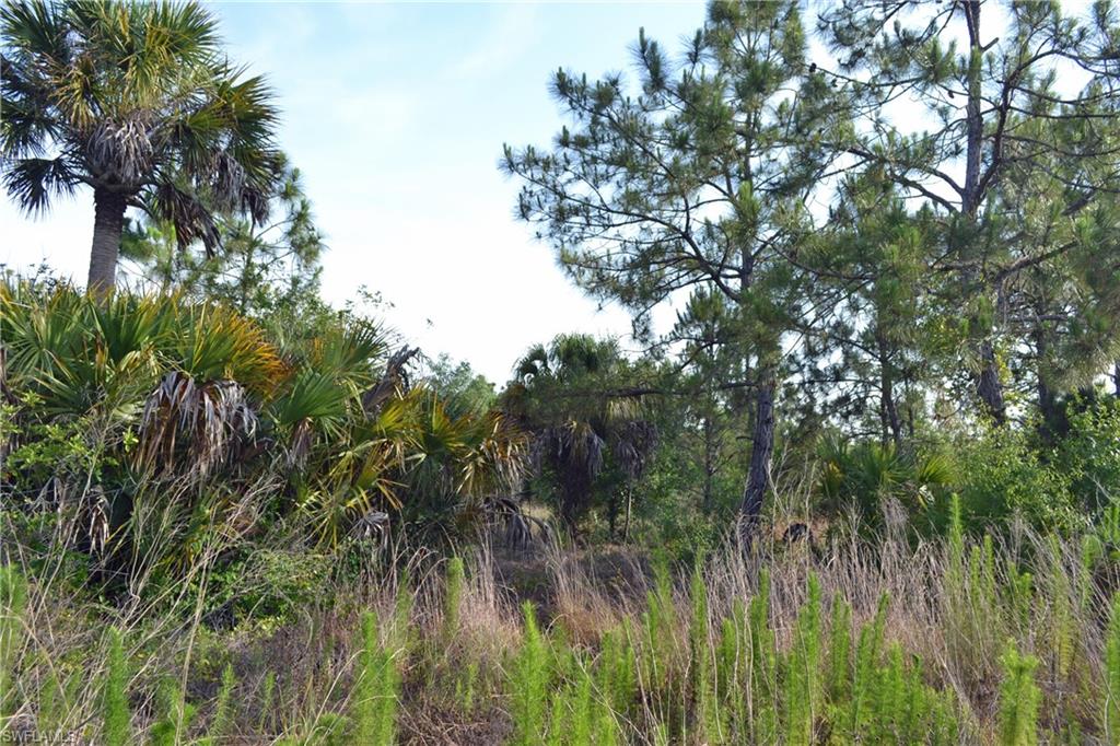Red Deer Road Naples, FL 34120 - Photo 13 of 28 Gallery Image 13