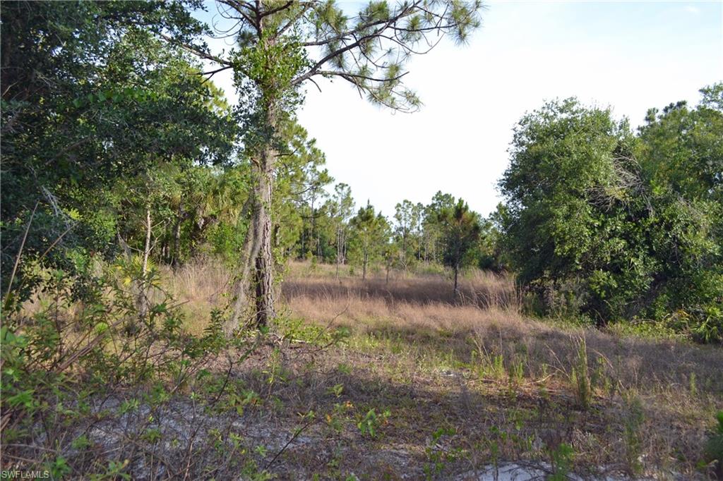 Red Deer Road Naples, FL 34120 - Photo 23 of 28 Gallery Image 23