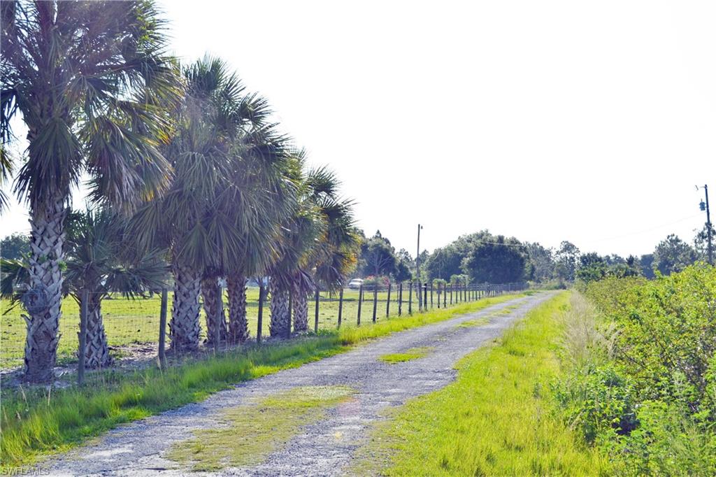 Red Deer Road Naples, FL 34120 - Photo 9 of 28 Gallery Image 9