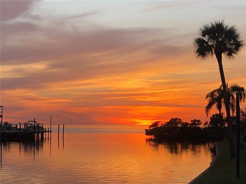 5915 Sea Ranch Drive, Unit 711 Hudson, FL 34667 - Photo 63 of 85