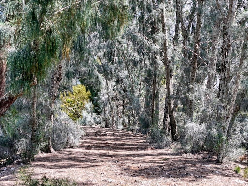 5915 Sea Ranch Drive, Unit 711 Hudson, FL 34667 - Photo 66 of 85 a view of outdoor space with trees