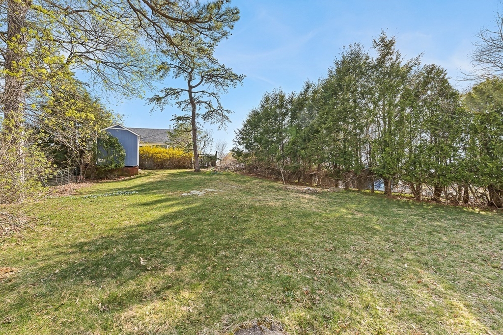 104 Wendell Street Winchester, MA 01890 - Photo 35 of 42 a view of a field with large trees