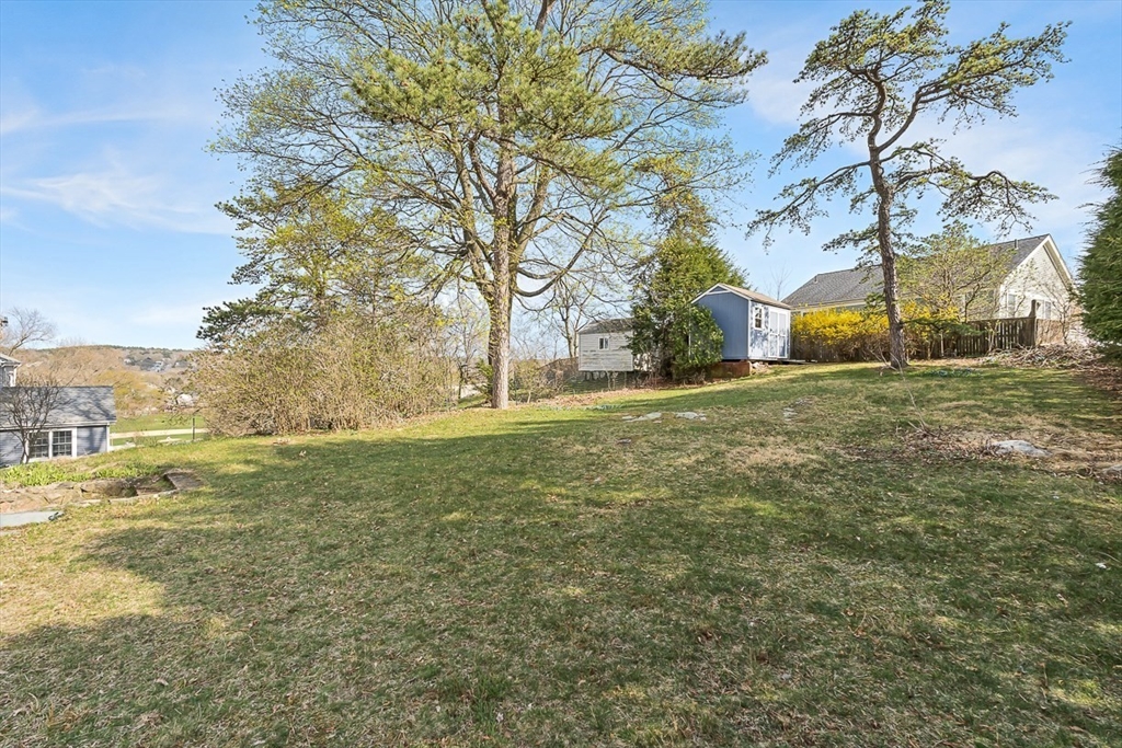 104 Wendell Street Winchester, MA 01890 - Photo 36 of 42 a view of a field with large trees