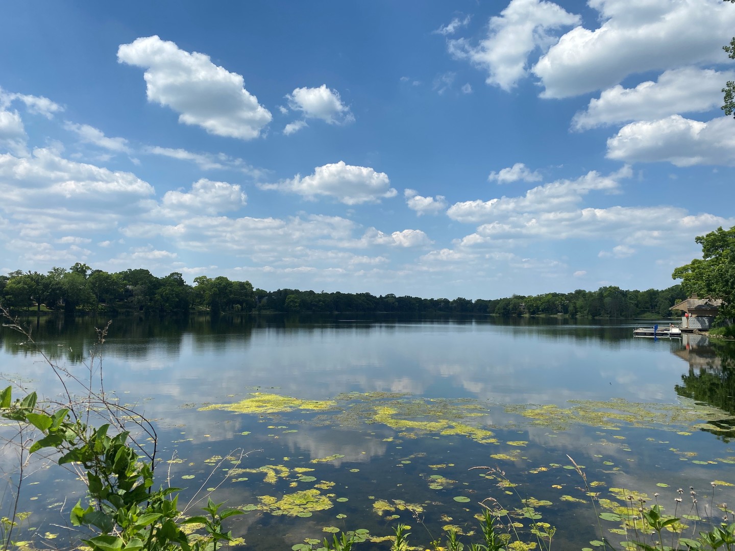 1261 Oak Hill Road Lake Barrington, IL 60010 - Photo 20 of 35