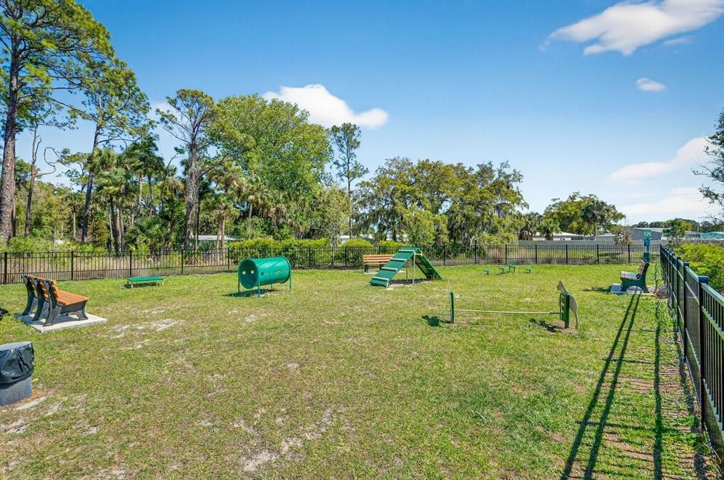 158 Jones Fish Camp Road Edgewater, FL 32141 - Photo 51 of 54