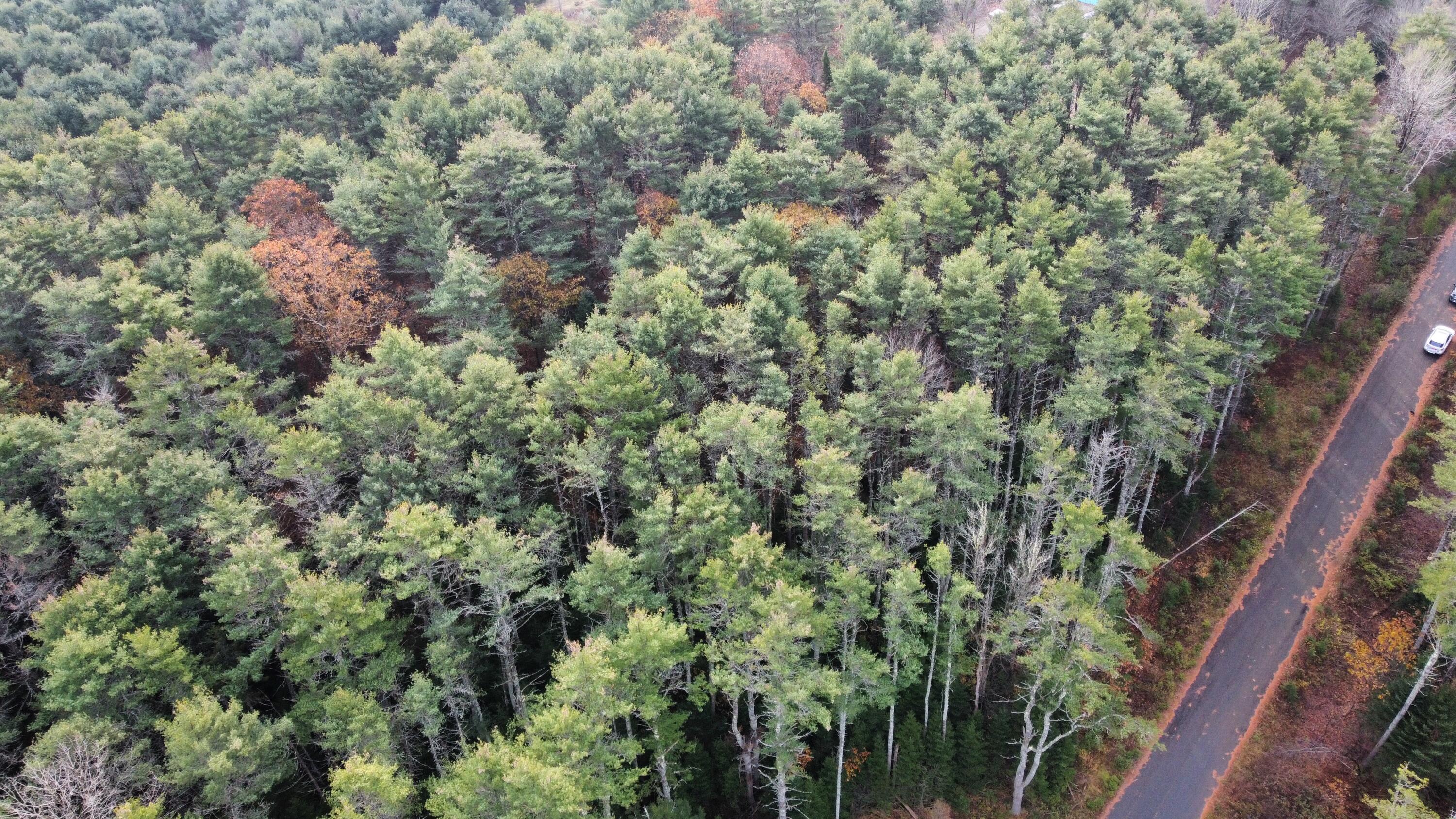 Lot #7 Upland Road Wiscasset, ME 04578 - Photo 2 of 8 Lot along Upland Road