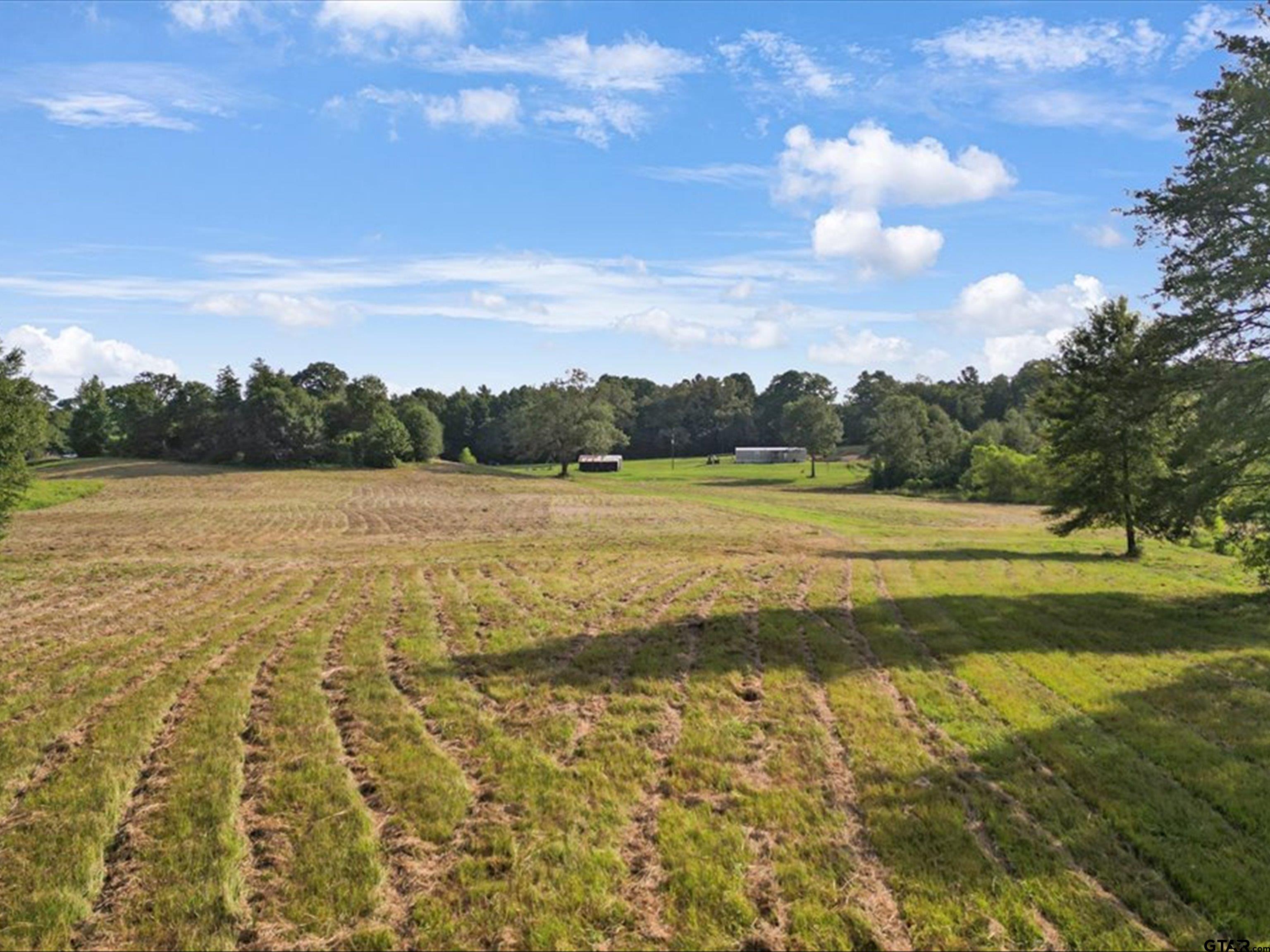67-acres South Live Oak Road Gilmer, TX 75644 - Photo 11 of 18 a view of an ocean and beach