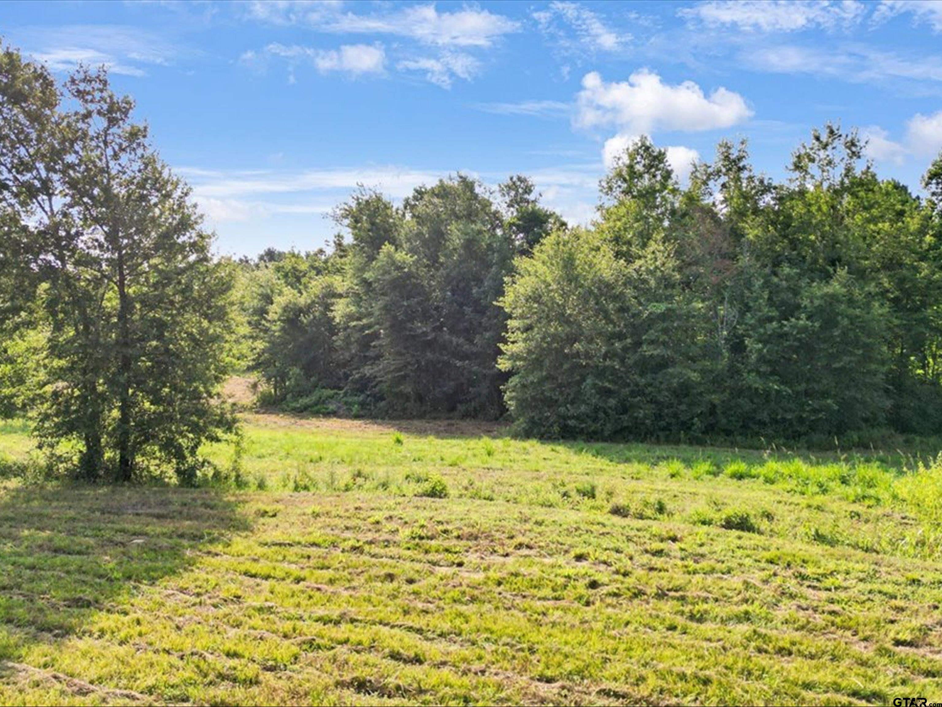 67-acres South Live Oak Road Gilmer, TX 75644 - Photo 12 of 18