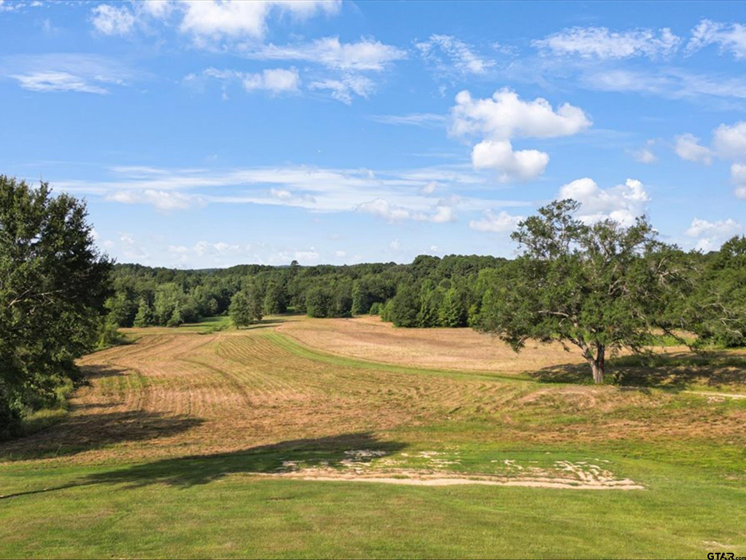 67-acres South Live Oak Road Gilmer, TX 75644 - Photo 13 of 18 a view of an ocean and beach