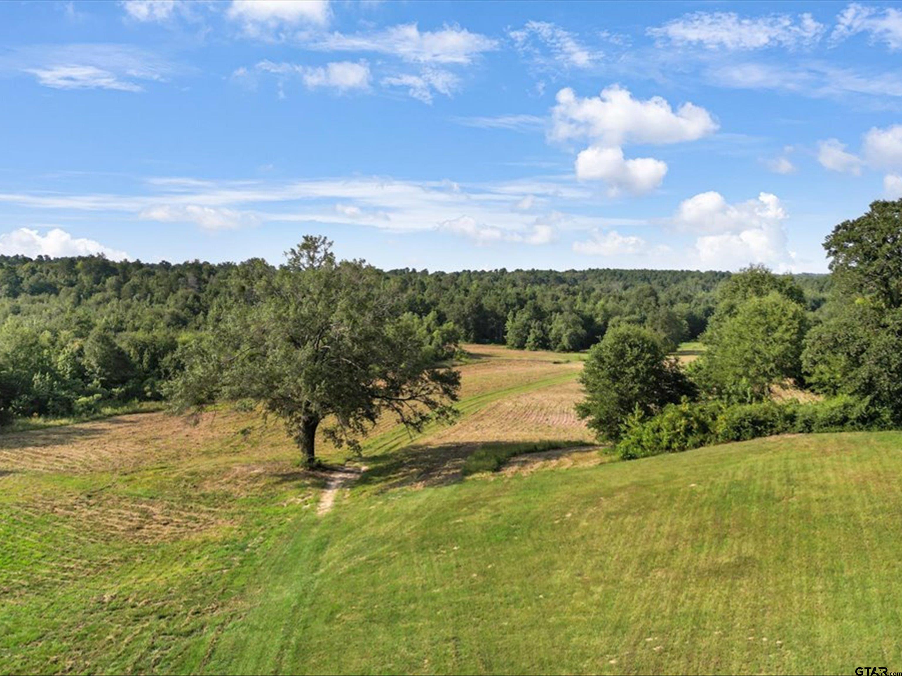 67-acres South Live Oak Road Gilmer, TX 75644 - Photo 14 of 18 a view of a lake with a yard