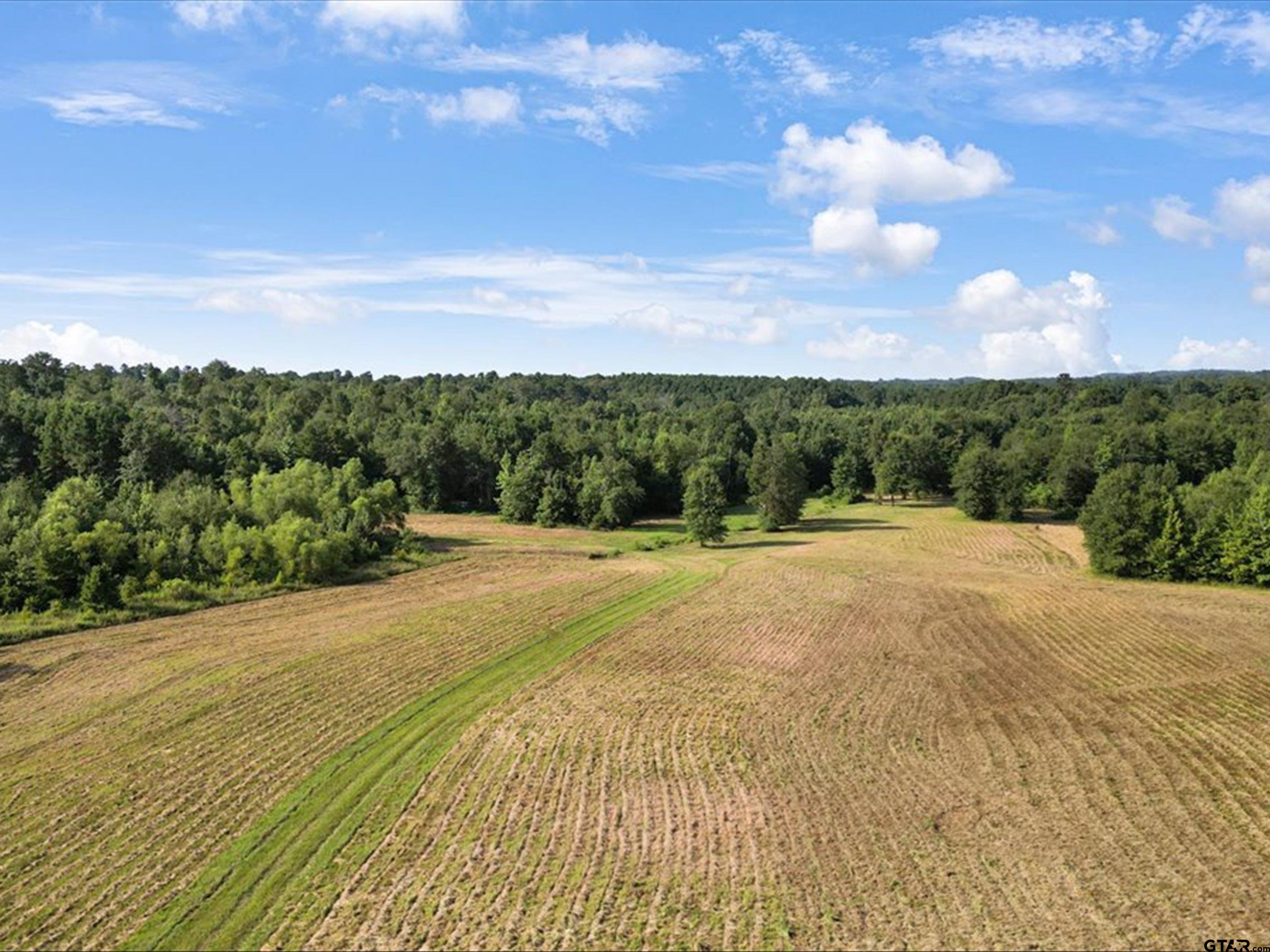 67-acres South Live Oak Road Gilmer, TX 75644 - Photo 15 of 18 a view of a terrace