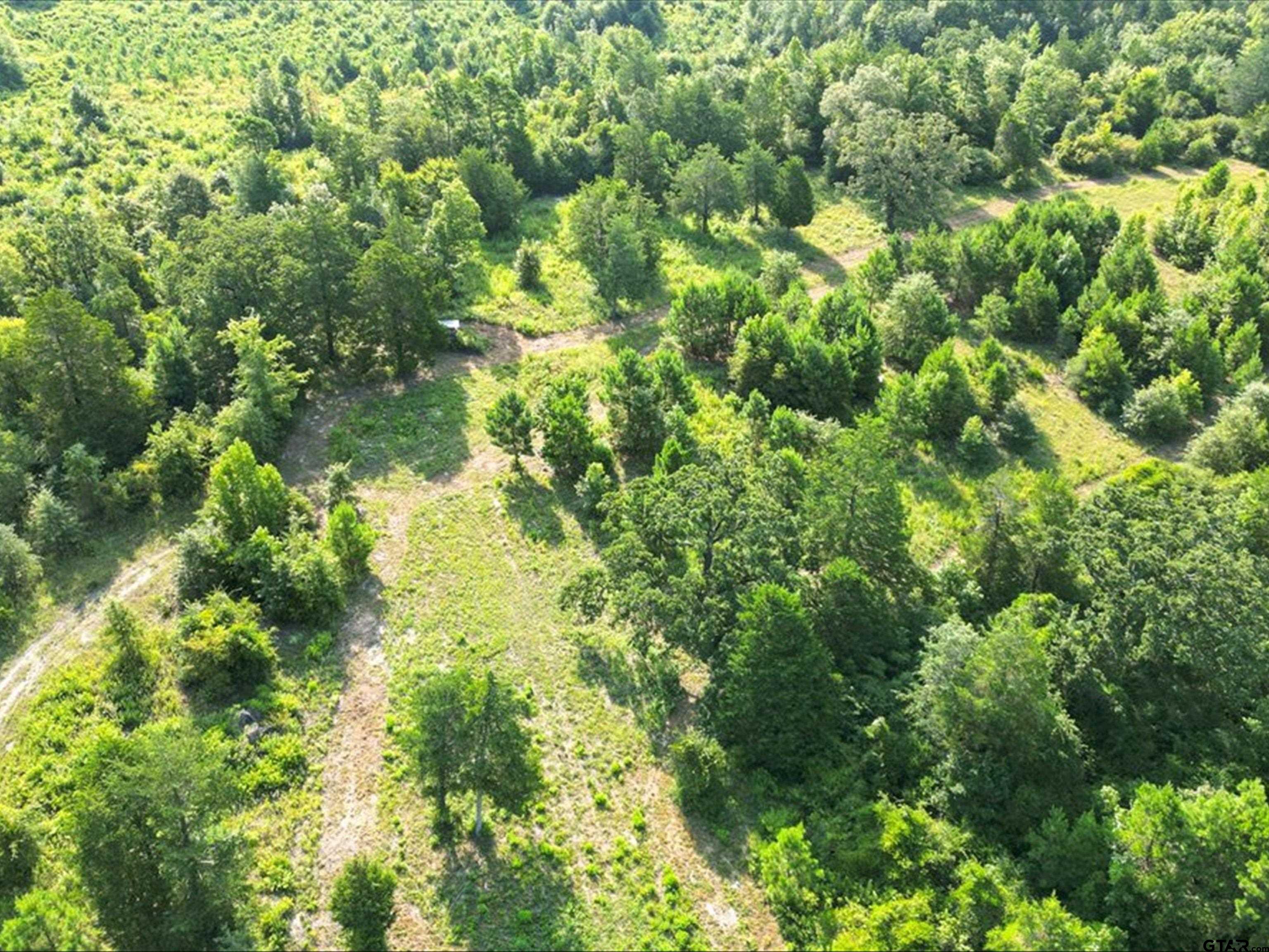 67-acres South Live Oak Road Gilmer, TX 75644 - Photo 17 of 18 a backyard of a house with lots of trees