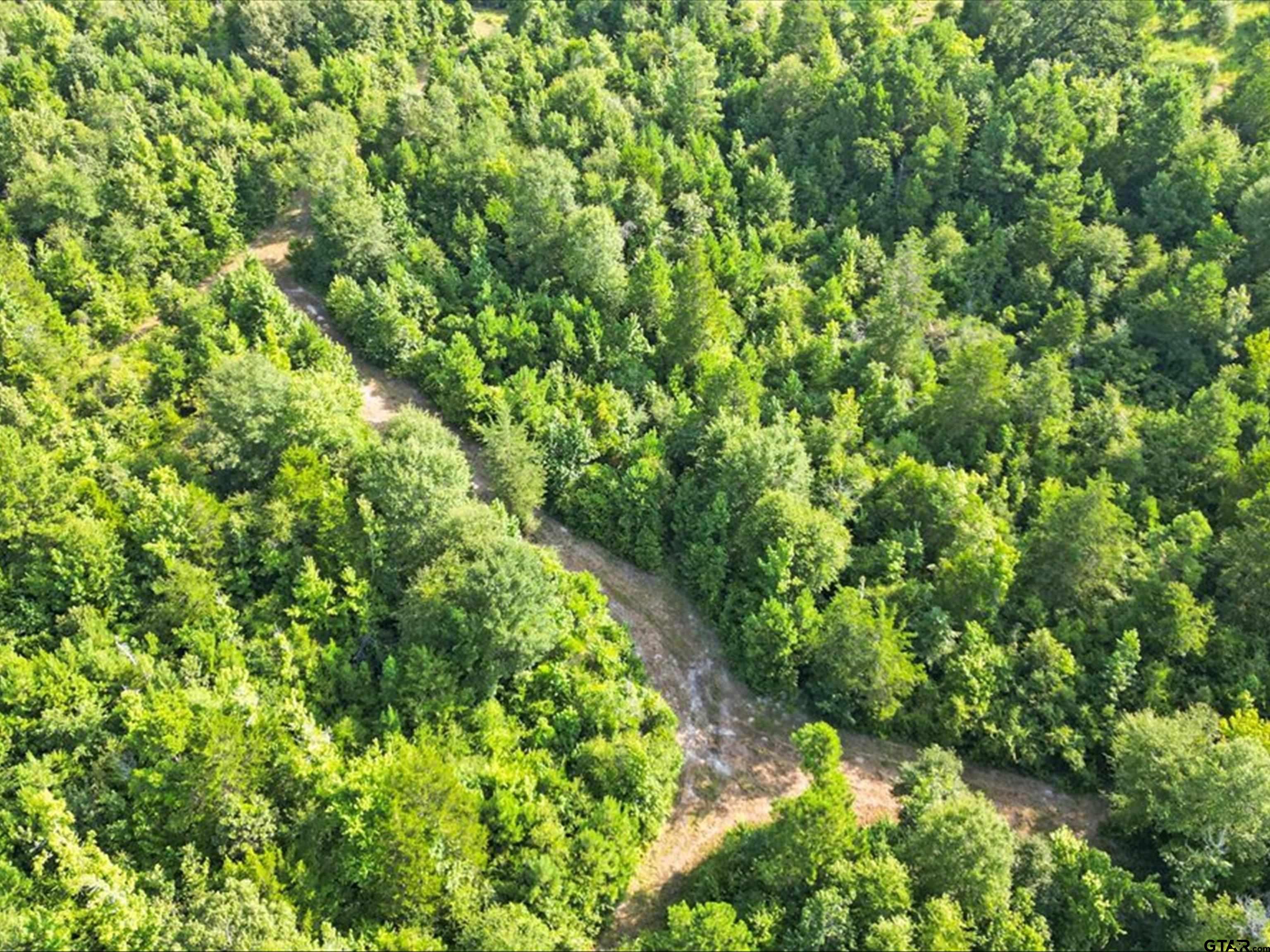 67-acres South Live Oak Road Gilmer, TX 75644 - Photo 18 of 18 a view of a lush green forest