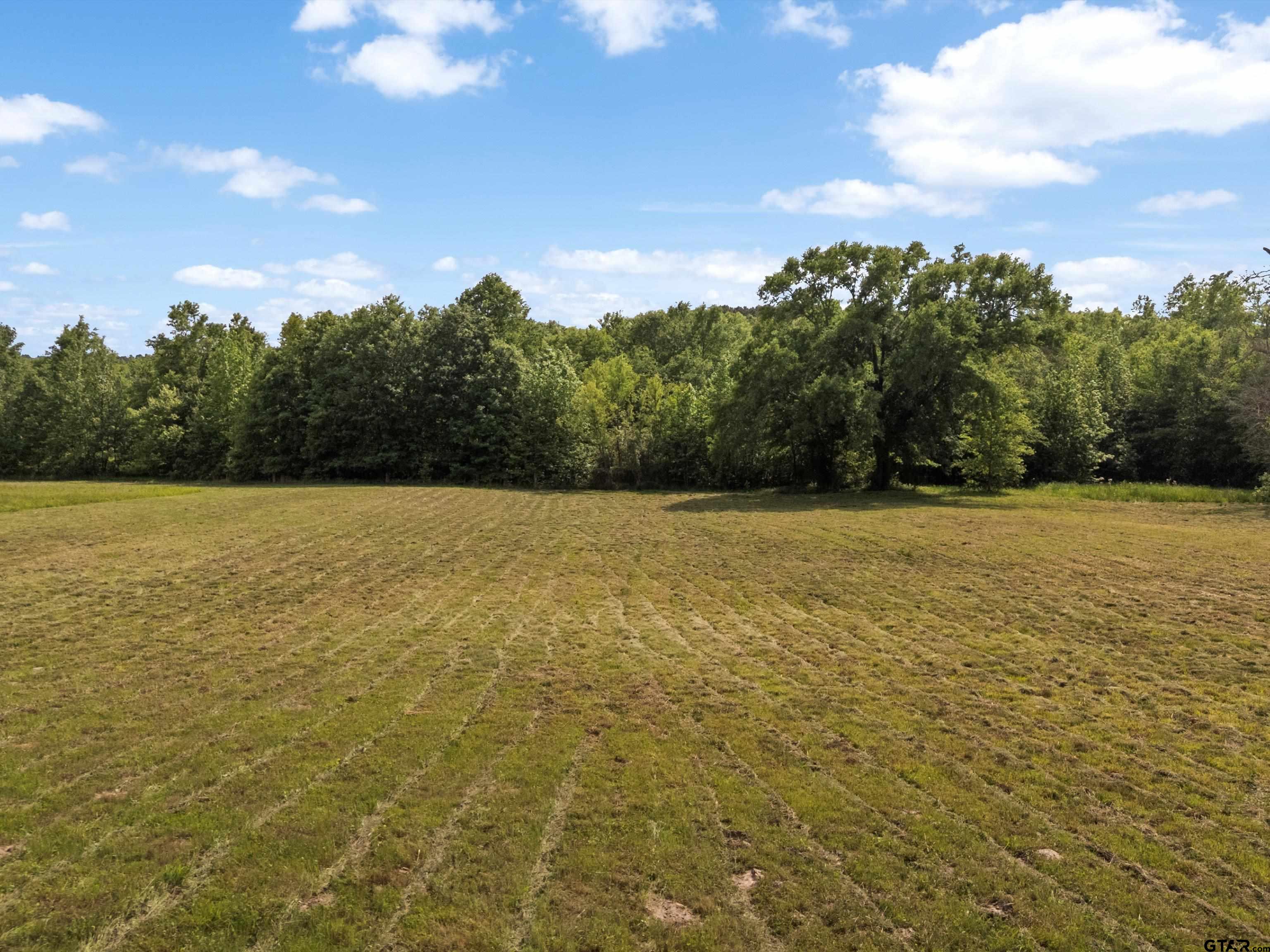 67-acres South Live Oak Road Gilmer, TX 75644 - Photo 2 of 18 a view of a lake view