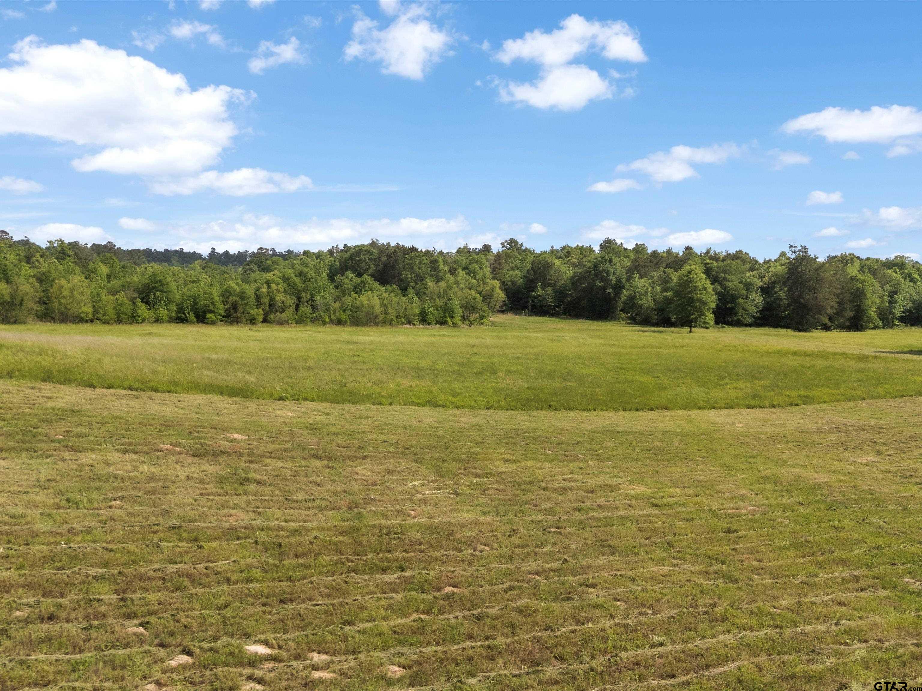 67-acres South Live Oak Road Gilmer, TX 75644 - Photo 3 of 18 a view of an ocean