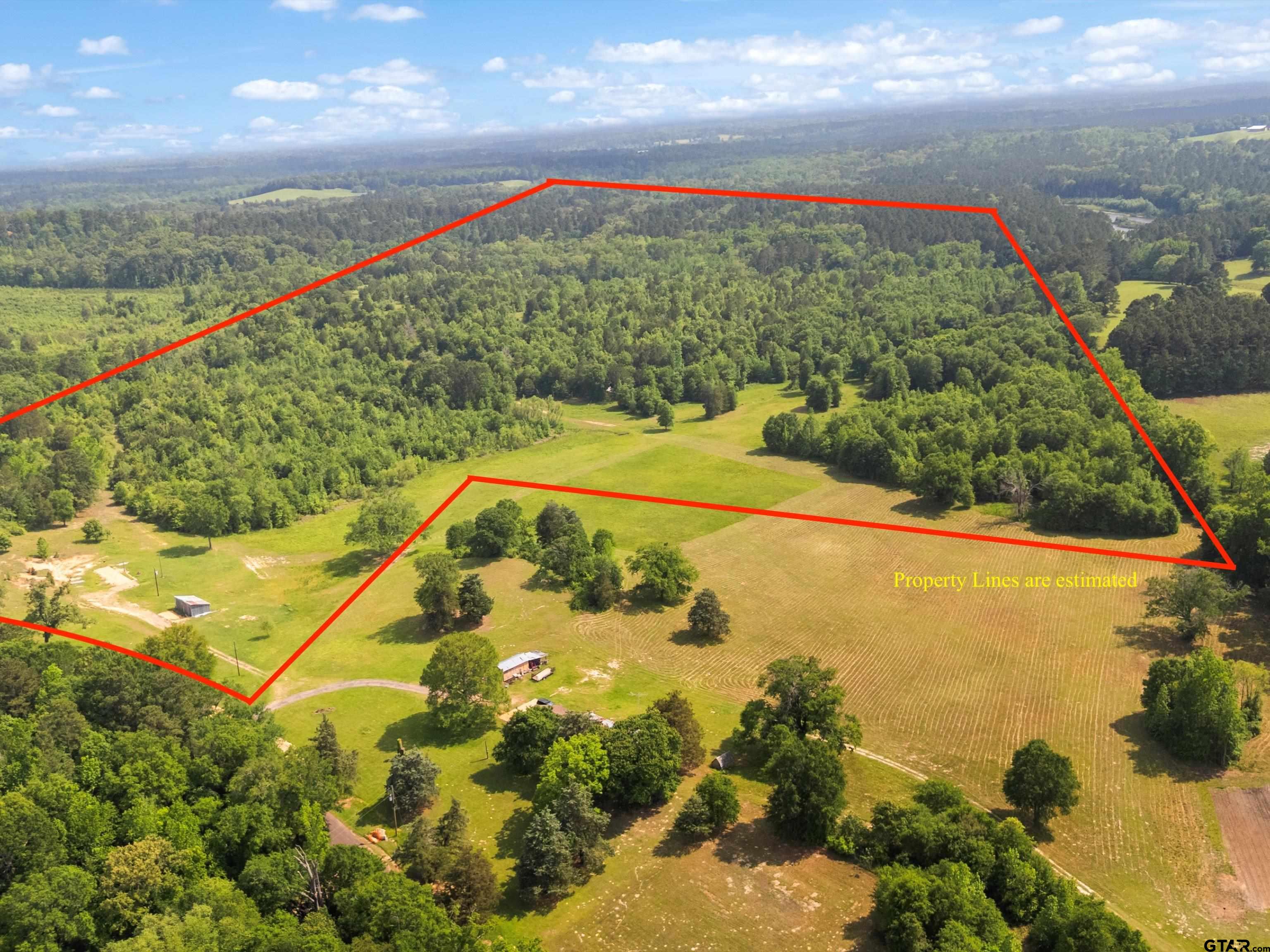 67-acres South Live Oak Road Gilmer, TX 75644 - Photo 6 of 18