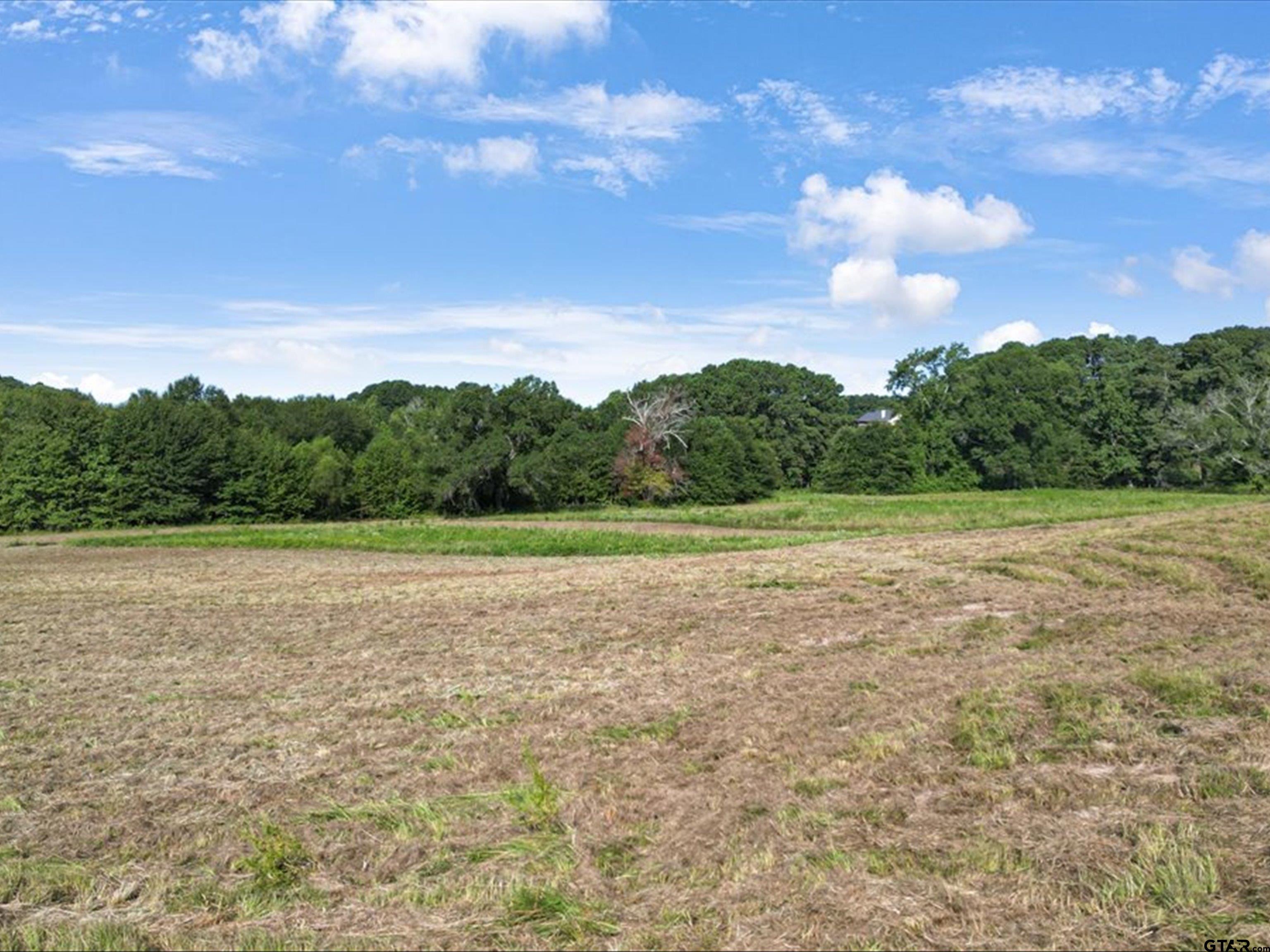 67-acres South Live Oak Road Gilmer, TX 75644 - Photo 8 of 18 a view of an outdoor space and a yard